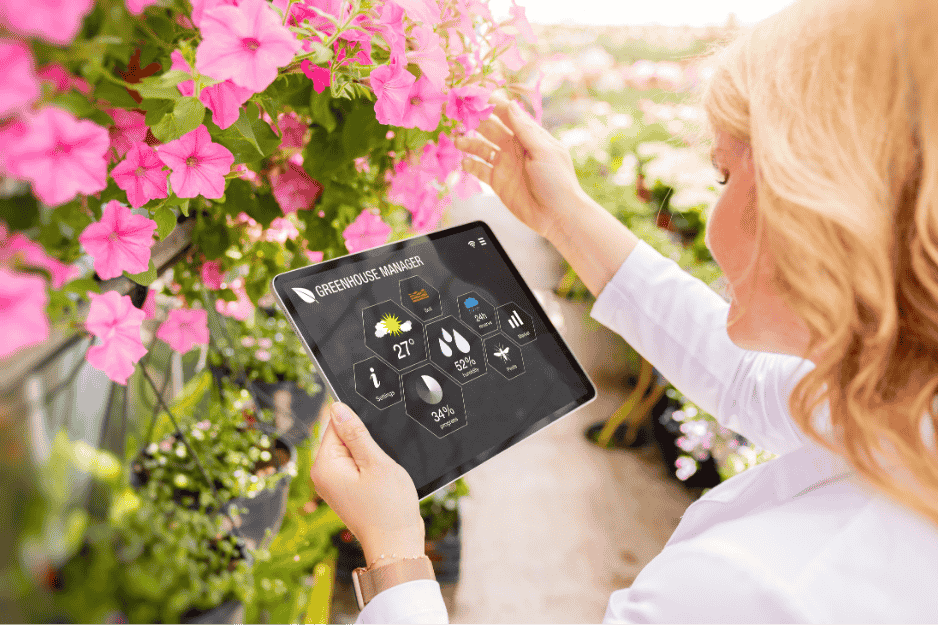 Pink Marketing, by Mak